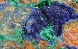 Malachite with Azurite - Morocco #60739-2